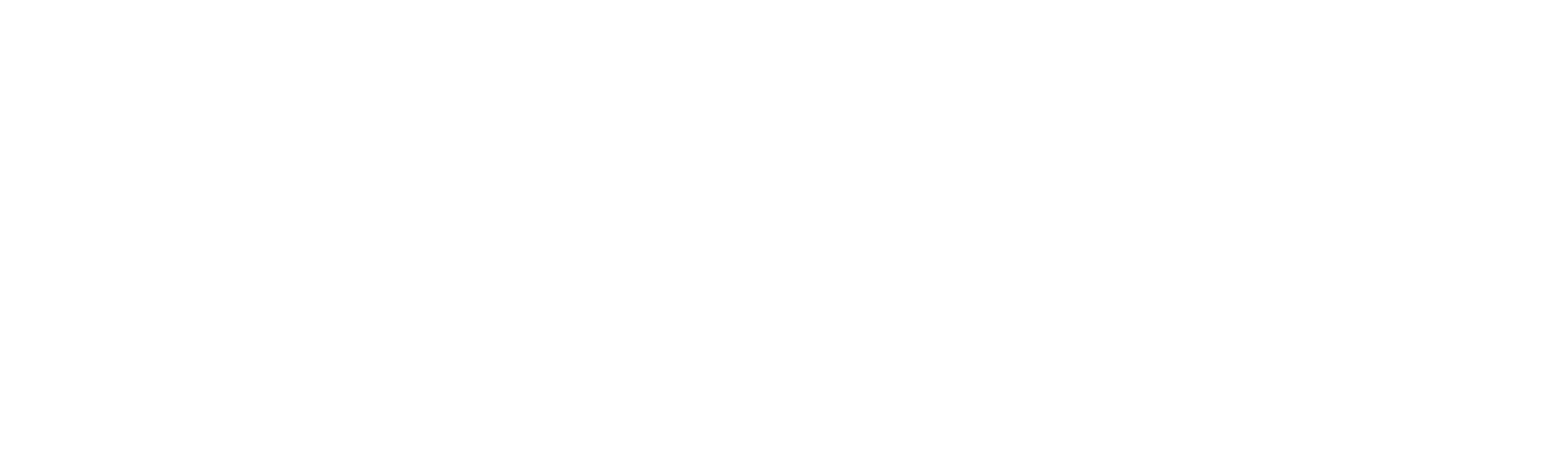 Hyundai Motor India
